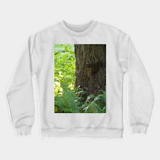 Squirrel Penseur Crewneck Sweatshirt